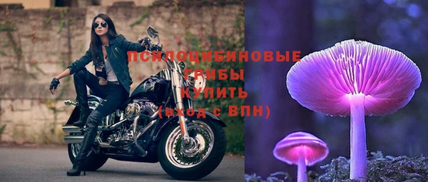 прущий лед Алексин