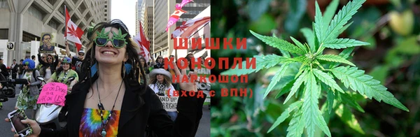 ГАЛЛЮЦИНОГЕННЫЕ ГРИБЫ Алексеевка