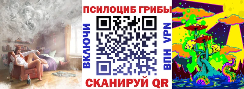 Галлюциногенные грибы Psilocybe  Кола 